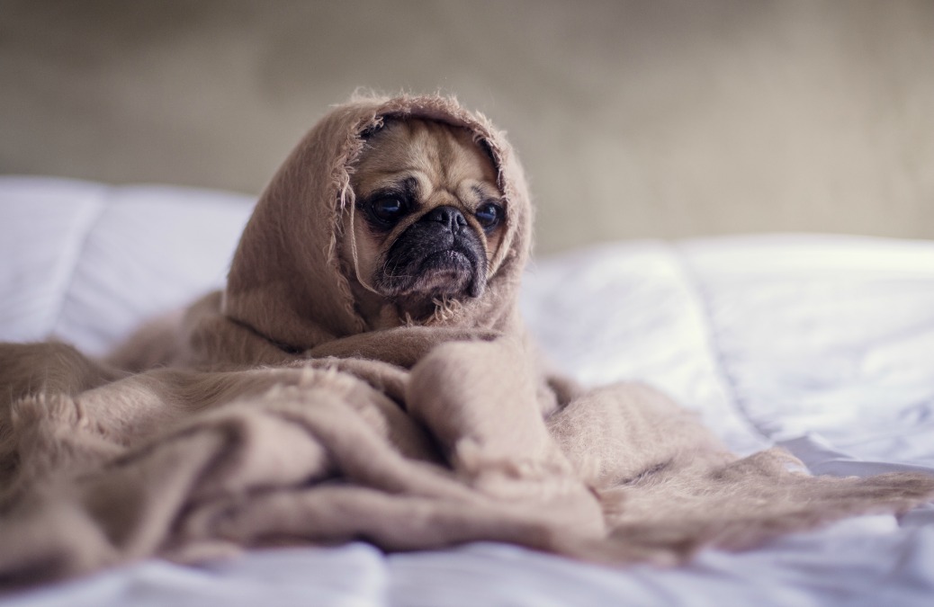 5 Easy(ish) Ways To Stop Being A Pessimist