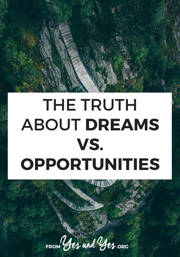 Who would win in a cage match of dreams vs. opportunities? Which one is healthier, more doable, and more sustainable? Click through for a pep talk about ambition, taking chances, and making shit happen. 