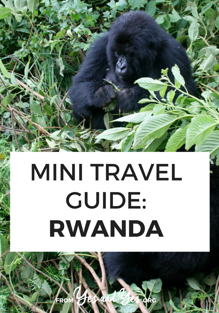 Looking for a travel guide to Rwanda? Click through for Rwanda travel tips from a local - what to do, where to go, and how to travel Rwanda cheaply, safely, and respectfully!