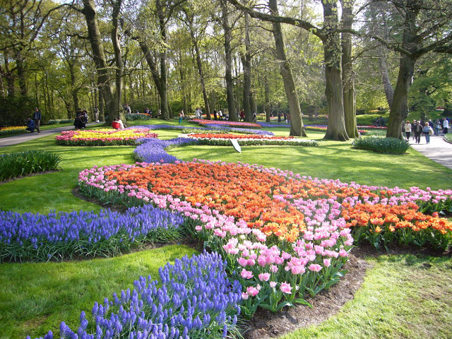 Must do in the Netherlands