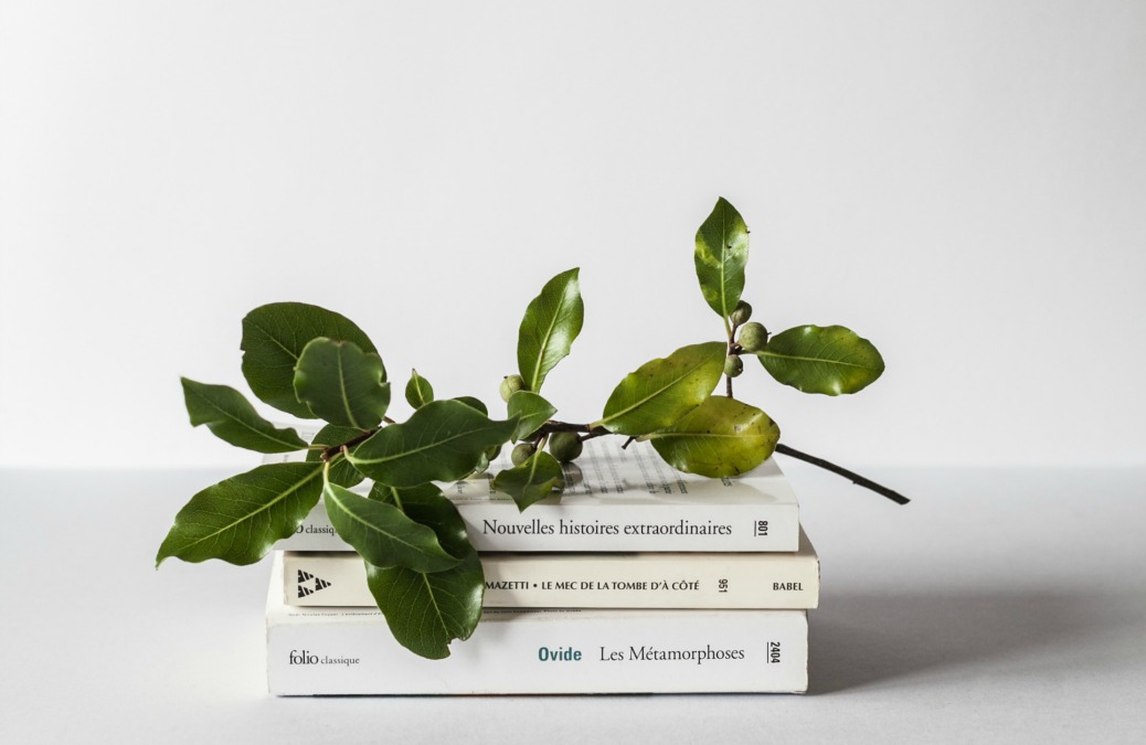 Why You Should Read + Watch + Listen Outside of Your Comfort Zone
