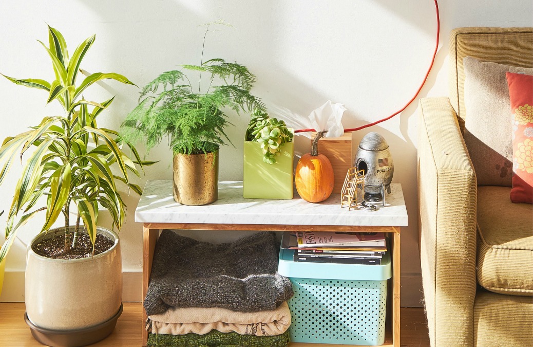 How To Find The Best Stuff In Any Thrift Store
