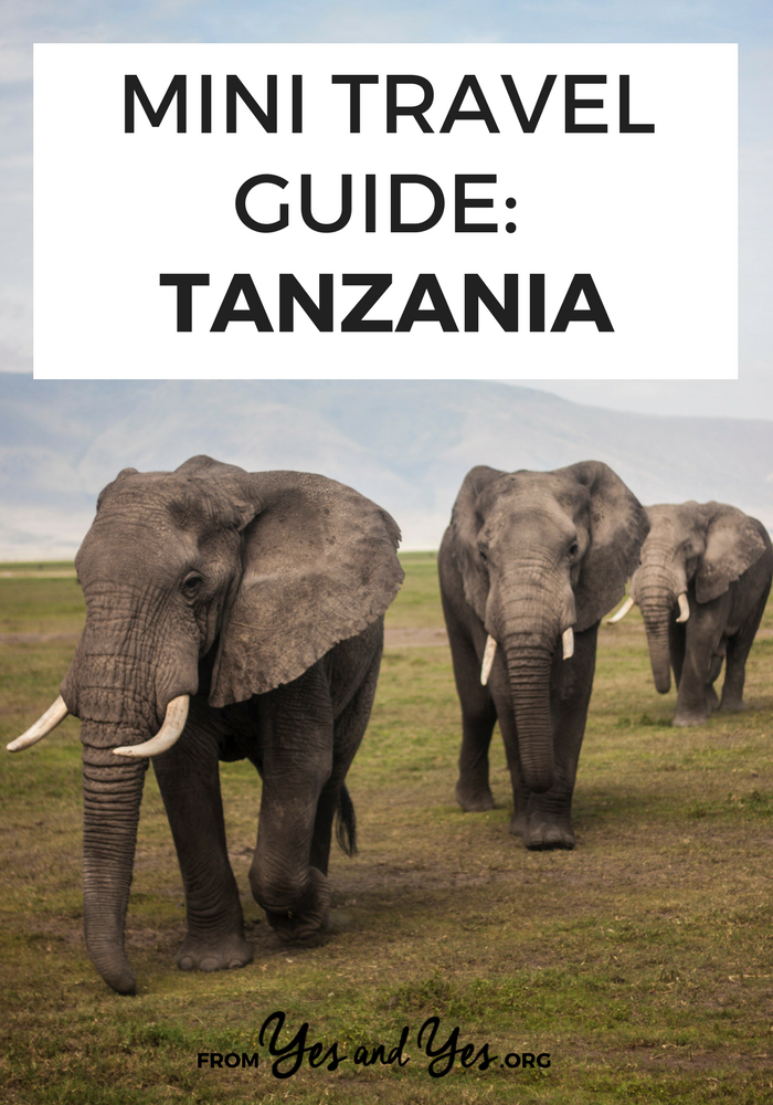 Looking for a travel guide to Tanzania? Click through for a local's best Tanzania travel tips - where to go, what to do, and how to do it all cheaply!