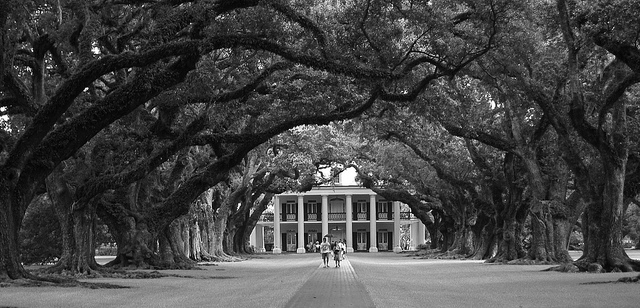 Mini Travel Guide: America's Deep South // yesandyes.org Cultural tips for traveling in the south