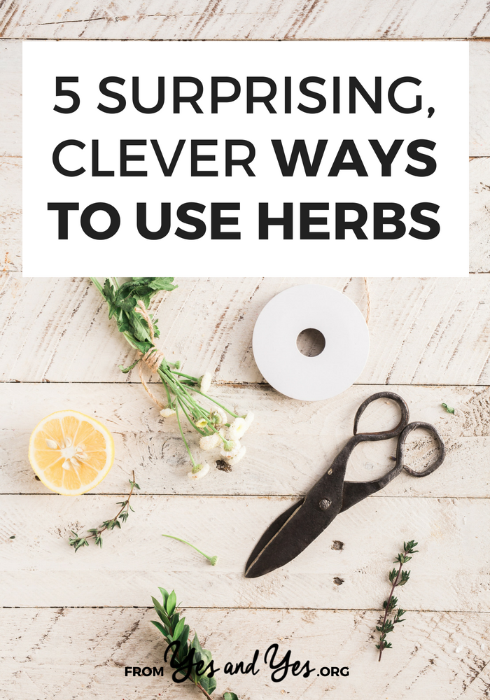 Looking for clever ways to use herbs before they go bad? Click through for some good herb ideas that will use up some of that basil! 