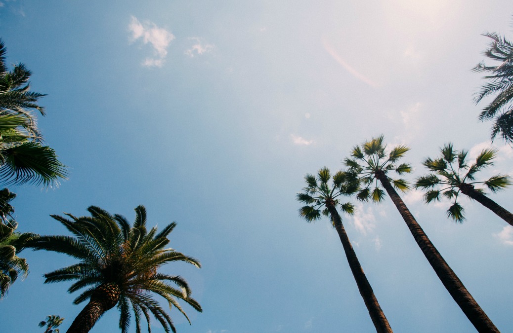 The Cheapskate Guide To: Los Angeles