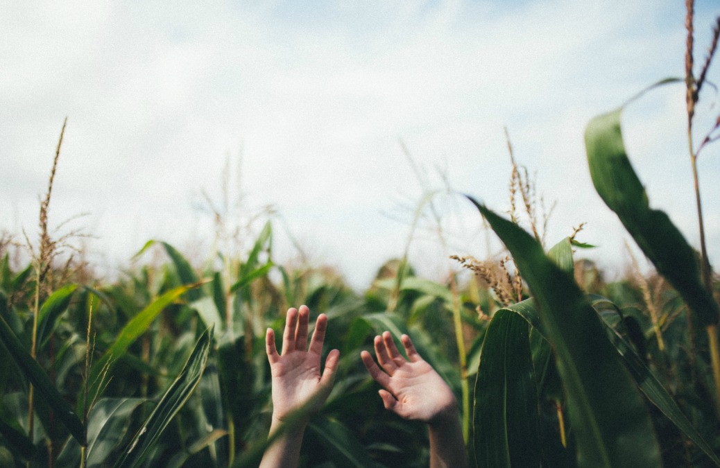 5 Tips To Stay Motivated When You’re Working On A Huge Project