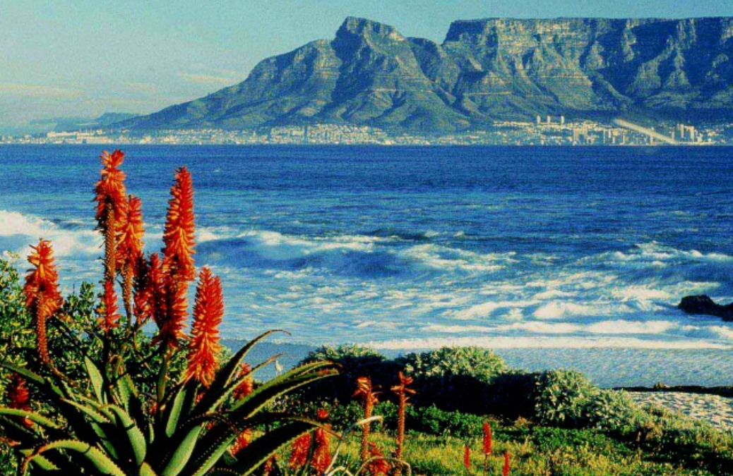 The Cheapskate Guide To: Cape Town