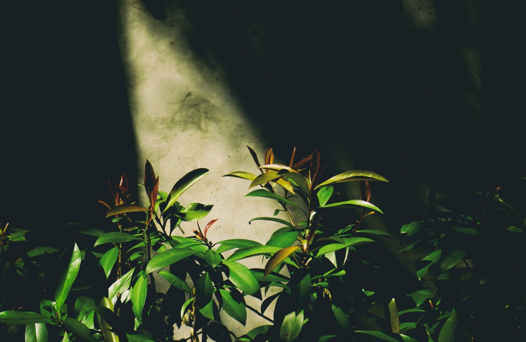 How To Make It Easier To Be Awesome