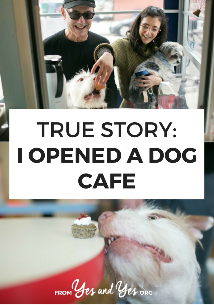 What would it be like to open your own dog cafe?! A dream? A Department of Health nightmare? Both? Click through for one dog-lover's business story!