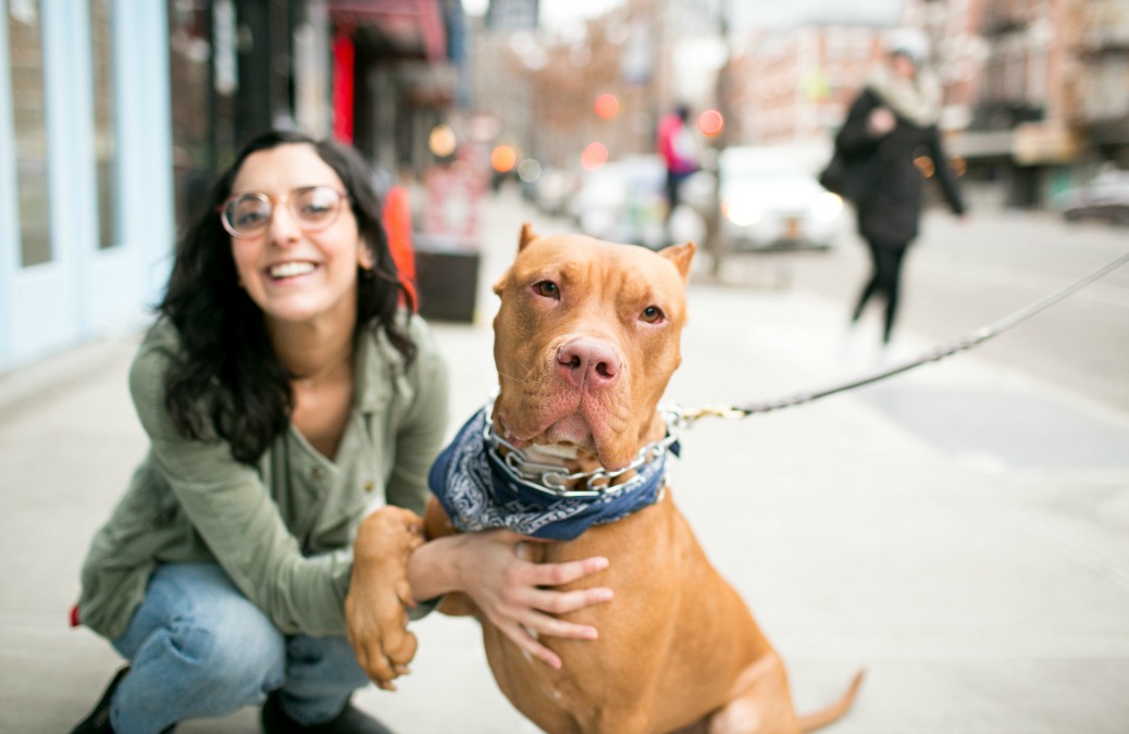 True Story: I opened a dog cafe